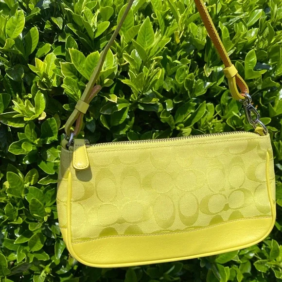 Coach demi purse